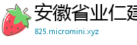 安徽省业仁建设集团有限公司